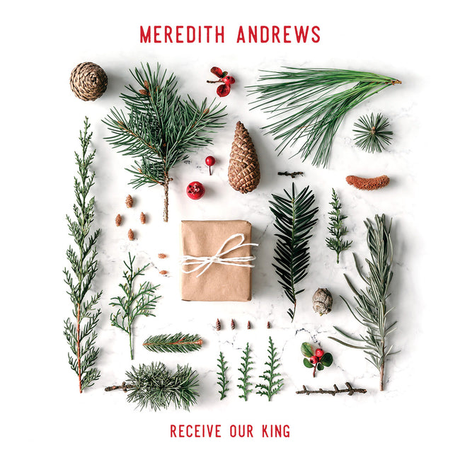 Meredith Andrews - Recieve Our King Cover